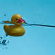 Illustration for article titled 23 Hilarious, Weird, and Funny Science Photos From Fermilab